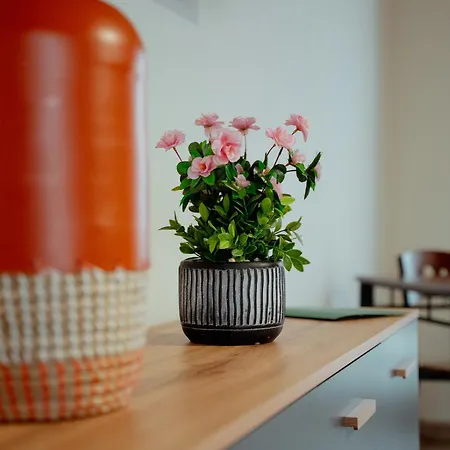 34 Nad Jeziorem מלון *